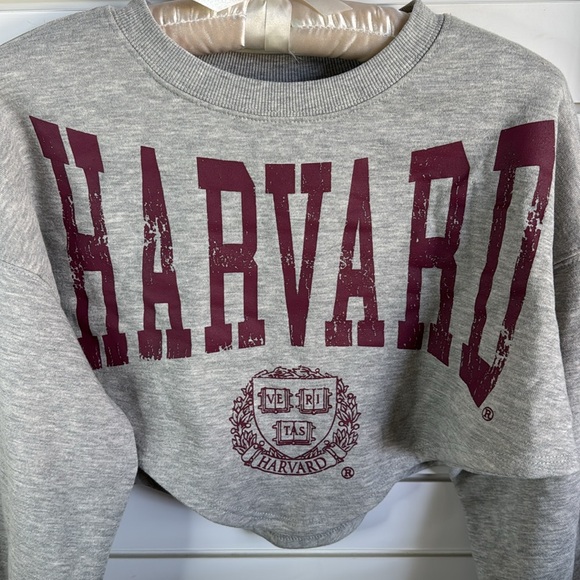 Harvard Gray Crop Sweatshirt - Picture 2 of 4